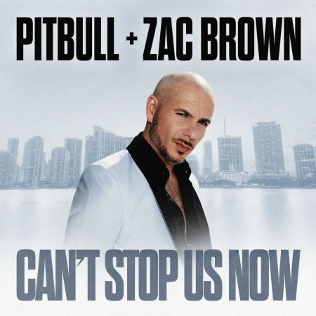 Pitbull Can’t Stop Us Now
